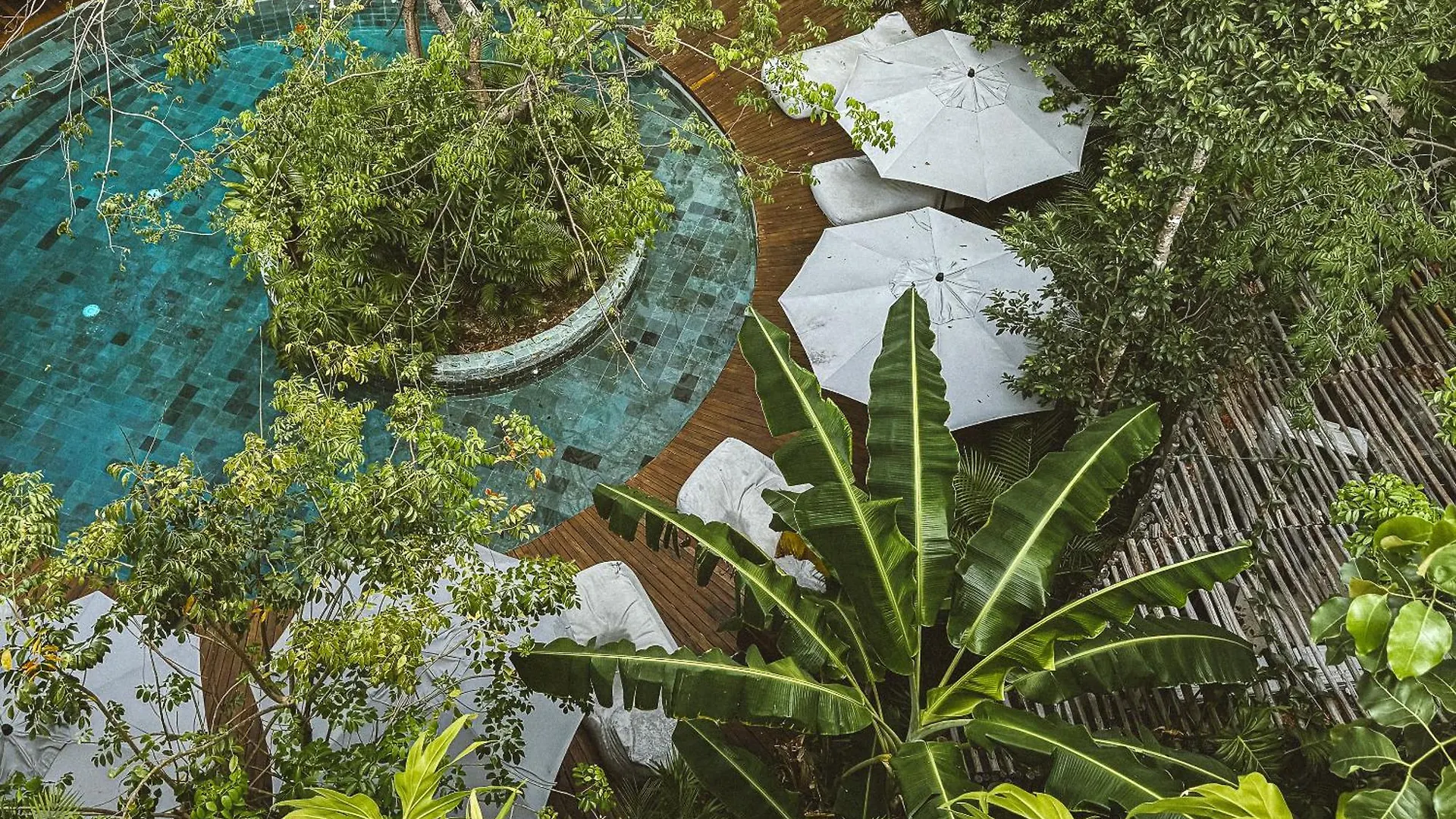 Exclusive Penthouse Aldea Zama Tulum Apartment