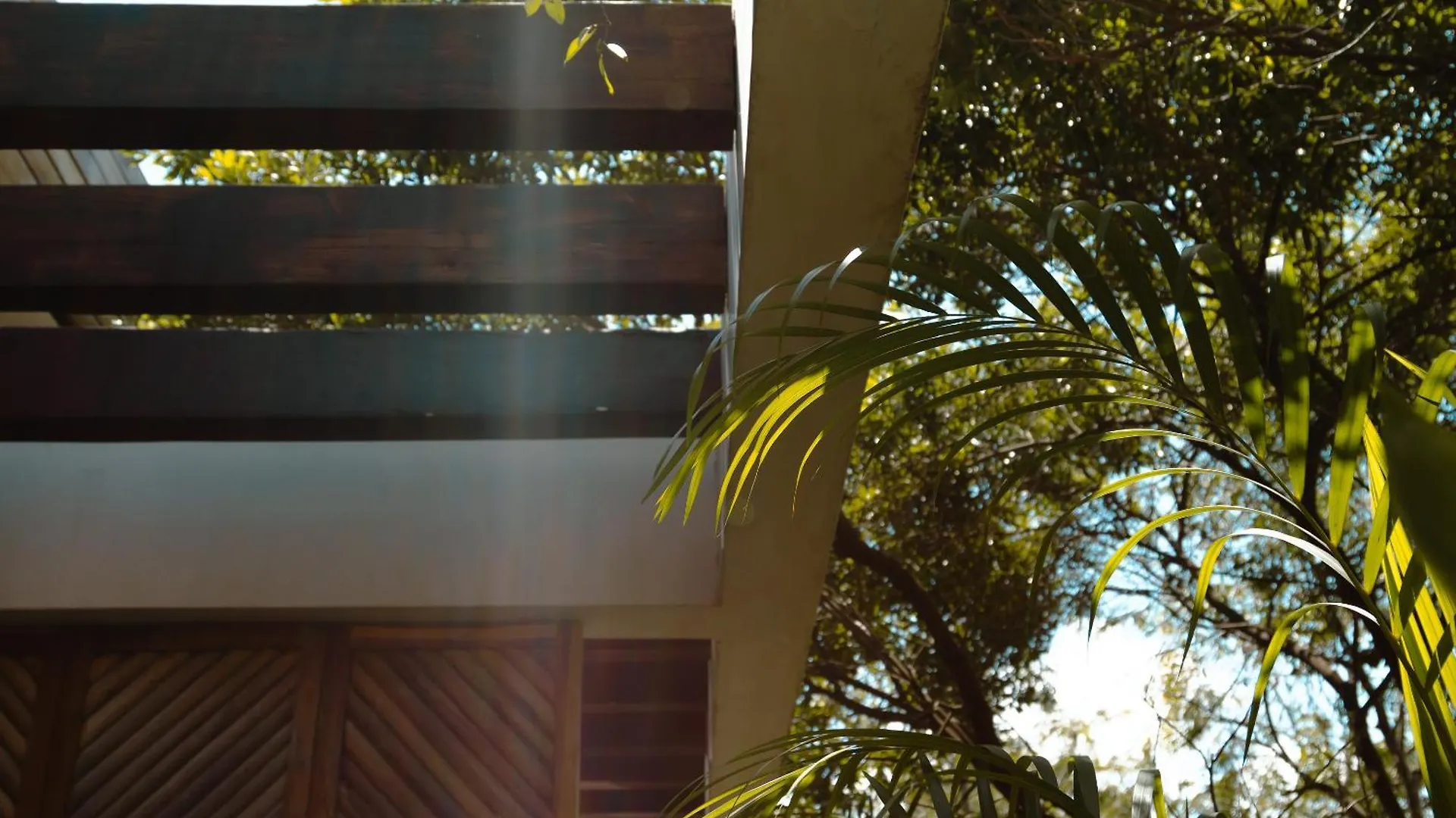 Exclusive Penthouse Aldea Zama Tulum Apartment