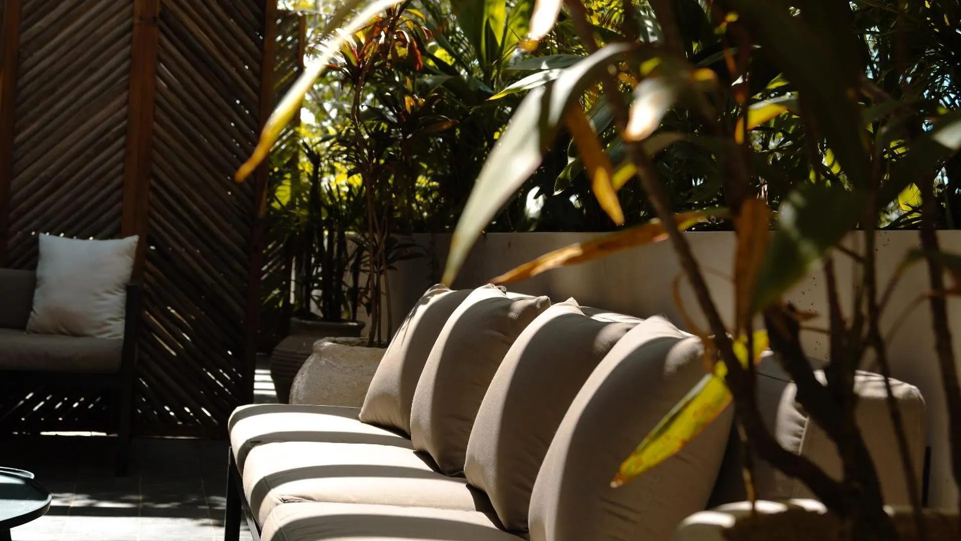 Exclusive Penthouse Aldea Zama Tulum Apartment Mexico