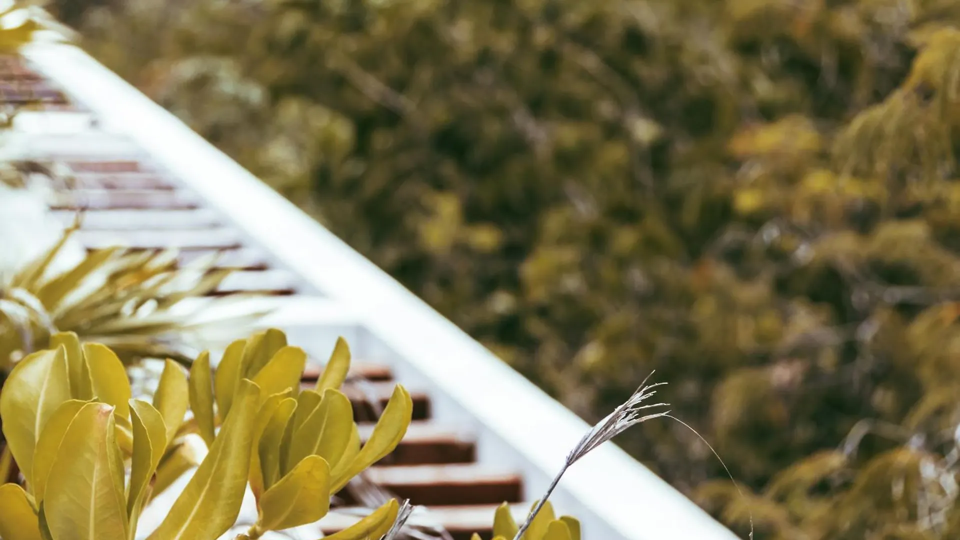 Exclusive Penthouse Aldea Zama Tulum Apartment