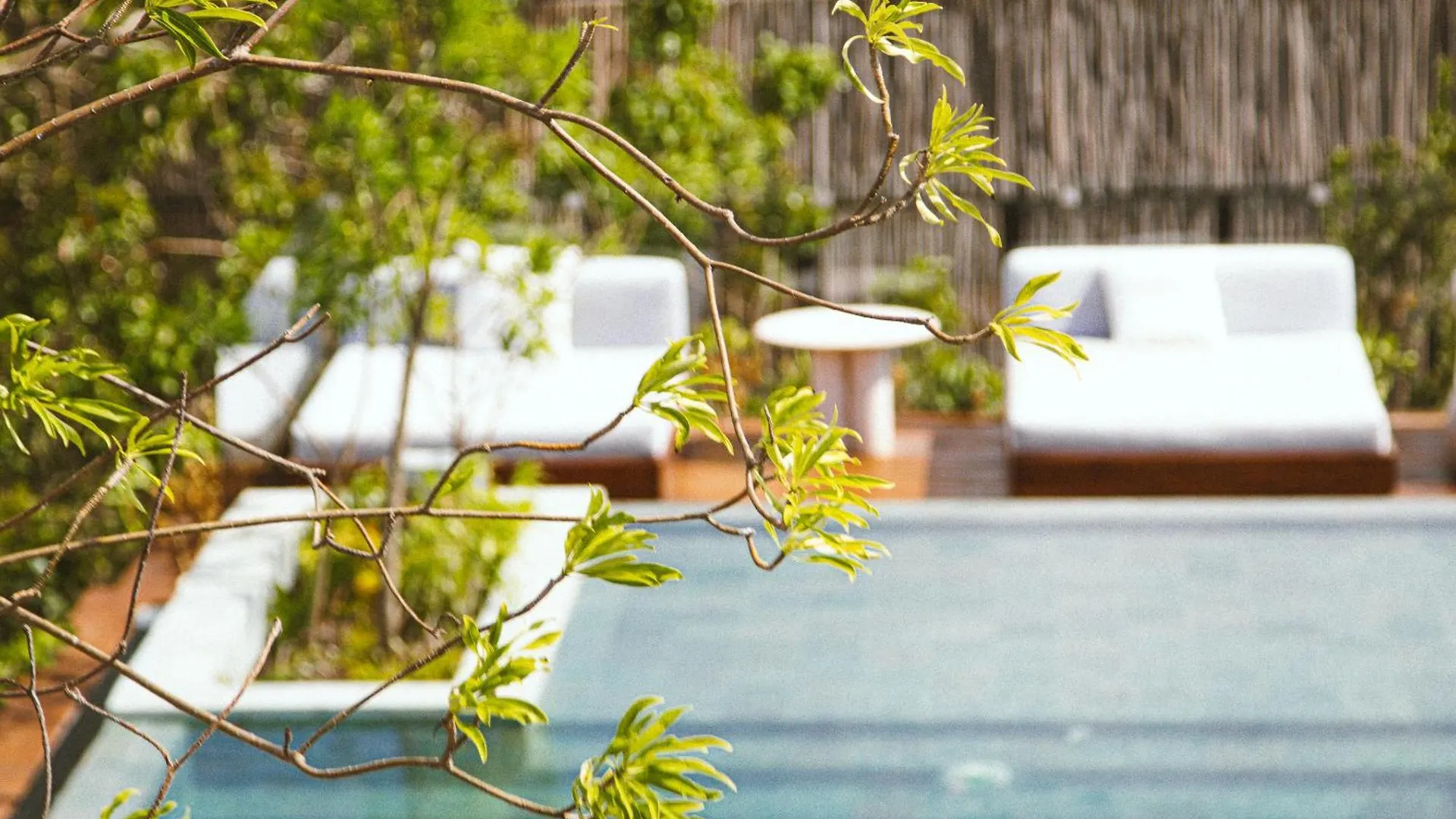 Exclusive Penthouse Aldea Zama Tulum Apartment